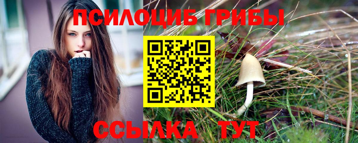 хочу наркоту  Галлюциногенные грибы Magic Shrooms  Вход с VPN  Железногорск 